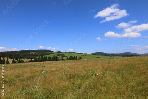 Prosiecka dolina located in a deep canyon in Liptov  Slovakia