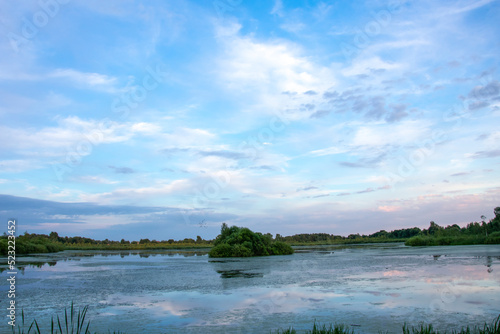 Photography duckweed covered lake kiovo, moscow region, russia, Orthodox church on the shore