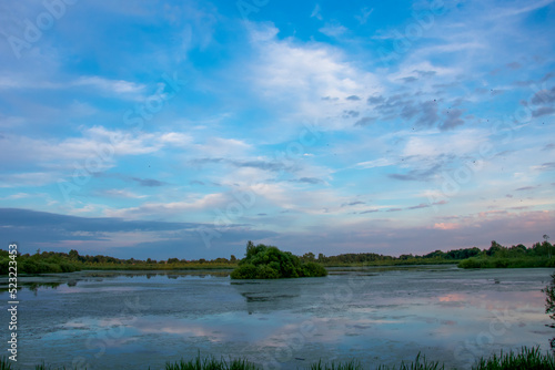 Photography duckweed covered lake kiovo, moscow region, russia, Orthodox church on the shore