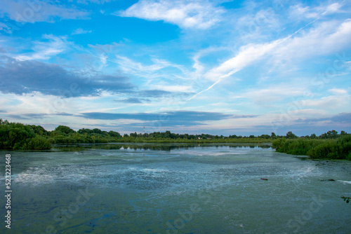 Canvas Print duckweed covered lake kiovo, moscow region, russia, Orthodox church on the shore