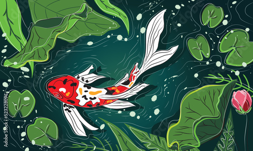 koi fish, koi pond vector