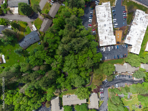 Top view of a small green town  suburb. Lots of greenery - trees  bushes. Roofs of one-story houses  paved roads. Housing issue  construction  maps  planning  infrastructure.