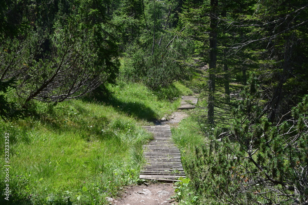 Dolomiti Bellunesi - Monte Pelmo