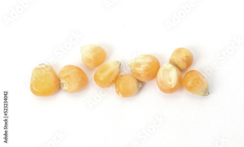 Corn seeds on a white background.