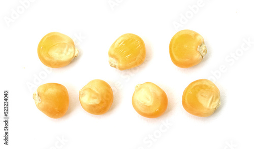 Corn seeds on a white background.