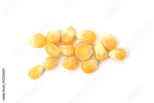 Corn seeds on a white background.