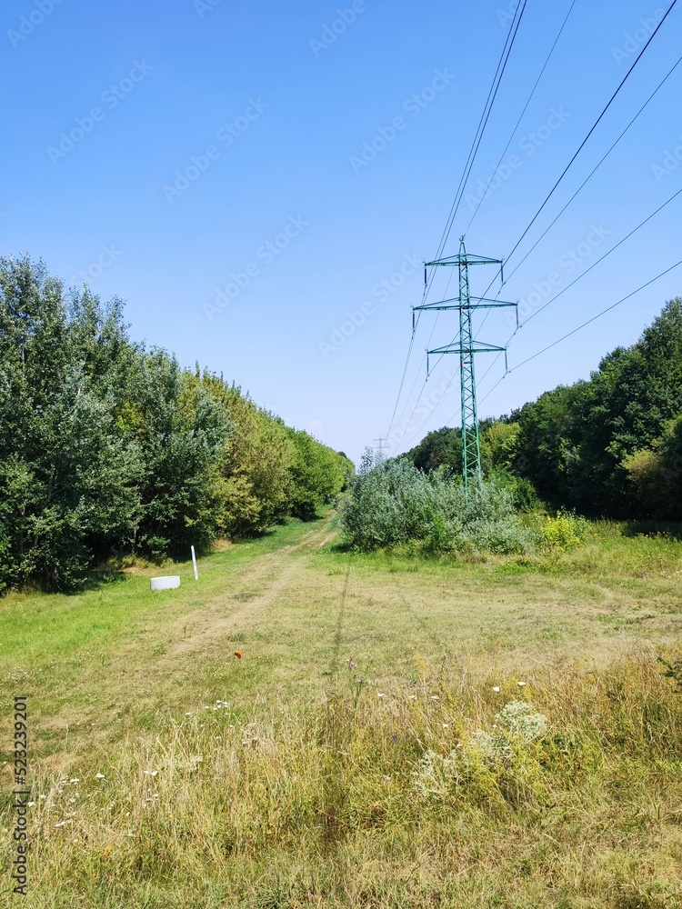 power lines in the field
