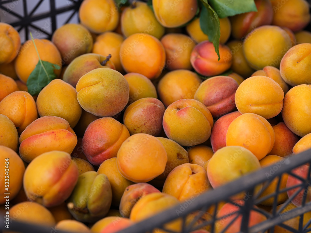 A close-up of fresh organic apricots in a crate
