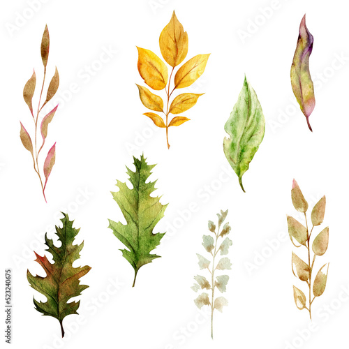 Watercolor set of hand drawn elements with autumn grasses, branches and leaves. Isolated on white background. Design for invitations, wedding, greeting cards, wallpaper, print, textile