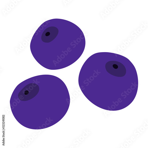 Simple hand drown blueberry isolated on white background, flat doodle vector