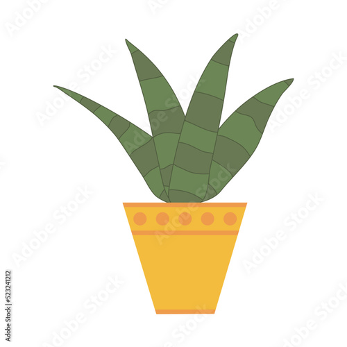 Zebra haworthia aloe cactus in pot, flat doodle vector