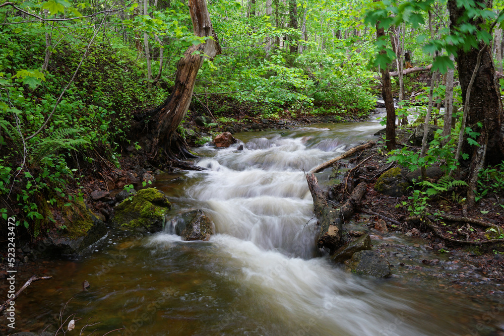 Motion-blurred stream in Cape Breton Highland National Park Canada