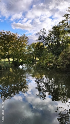 reflection of trees in water