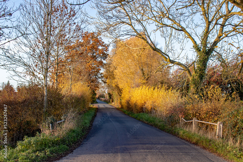 Country road in the autumn.