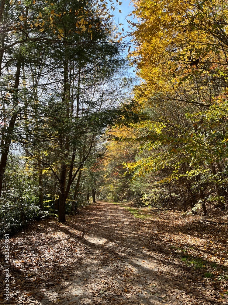 Tourist enjoy hiking the Rail Trail, in the Lehigh Gorge State Park, during the fall season for the natural beauty of the autumn foliage. Tourist enjoy hiking the Rail Trail, in the Lehigh Gorge State Park, during the fall season for the natural beauty of the autumn foliage.