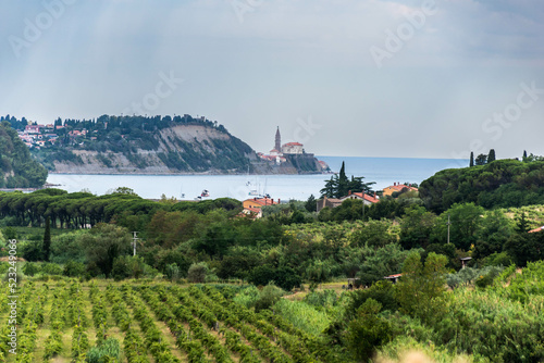 Canvas Print bay near portorose in slowenia