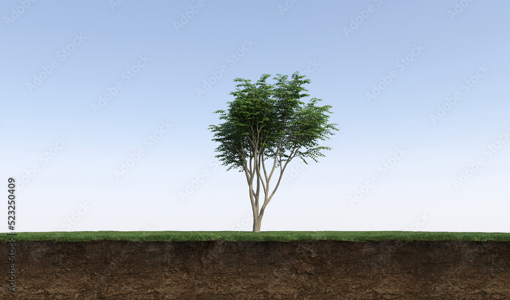 Deciduous tree and soil cut under it. Isolated garden element, 3D illustration, cg render Deciduous tree and soil cut under it. Isolated garden element, 3D illustration, cg render