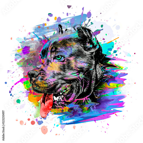 abstract colored dog muzzle...
