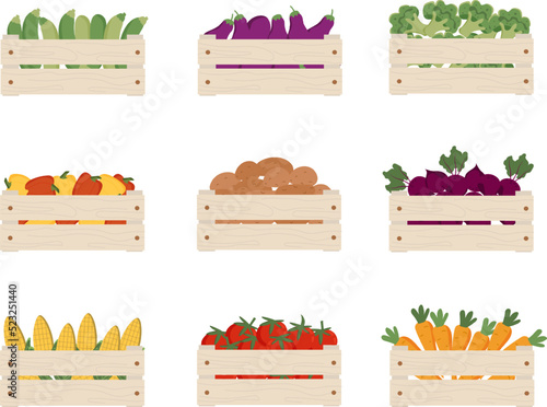 Set of different vegetables in wooden boxes. Carrot, tomato, corn, beet root, potatoe, pepper, aubergine, zucchini in boxes. Seasonal garden vegetables, organic food, harvest. Vector illustration.