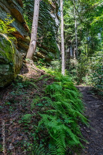 Lilly Bluff Rock Climbing Walls - Cumberland State Park