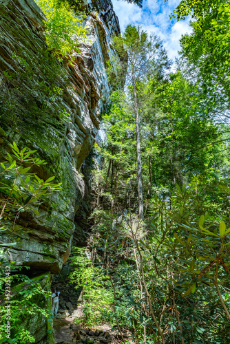 Lilly Bluff Rock Climbing Walls - Cumberland State Park