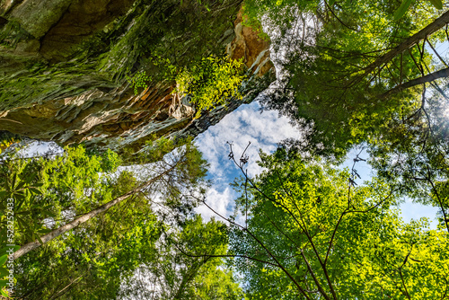 Lilly Bluff Rock Climbing Walls - Cumberland State Park