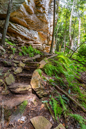 Lilly Bluff Rock Climbing Walls - Cumberland State Park