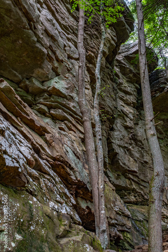 Lilly Bluff Rock Climbing Walls - Cumberland State Park