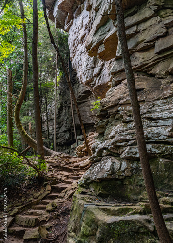 Lilly Bluff Rock Climbing Walls - Cumberland State Park