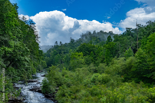 Obed River - Cumberland State Park, TN