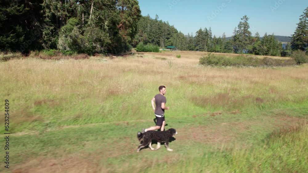 Middle aged man running park with a dog, happy, fitness, exercise, jogger, vitality, healthy. 4K 24FPS. Middle aged man running park with a dog, happy, fitness, exercise, jogger, vitality, healthy. 4K 24FPS.