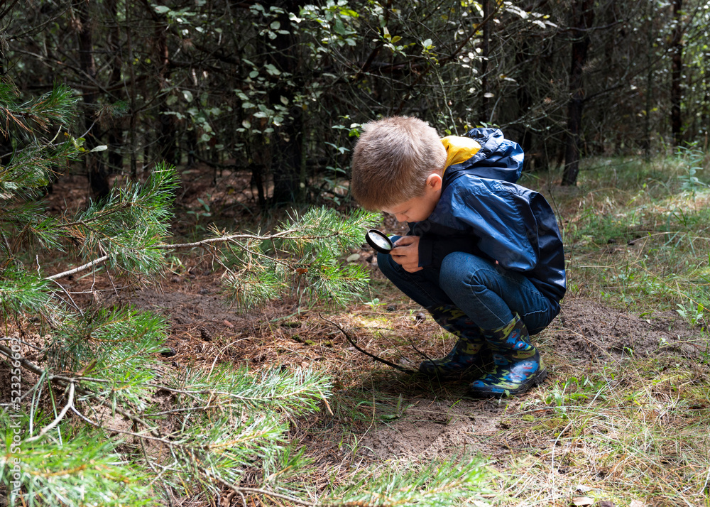 A boy with a magnifying glass in his hand is a nature student in the forest A boy with a magnifying glass in his hand is a nature student in the forest