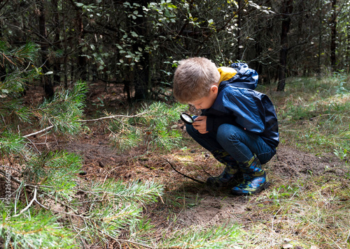 A boy with a magnifying glass in his hand is a nature student in the forest