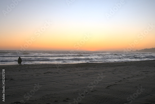 en el ocaso una persona deambula en la playa © Sergio Peña y Lillo