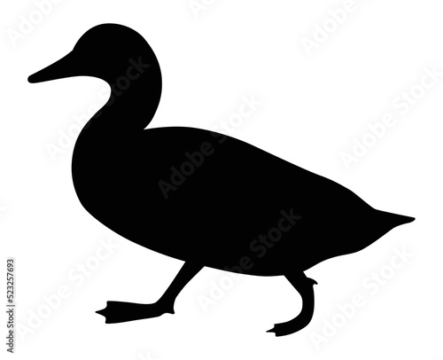 Duck or waterfowl walking flat vector icon for animal apps and websites