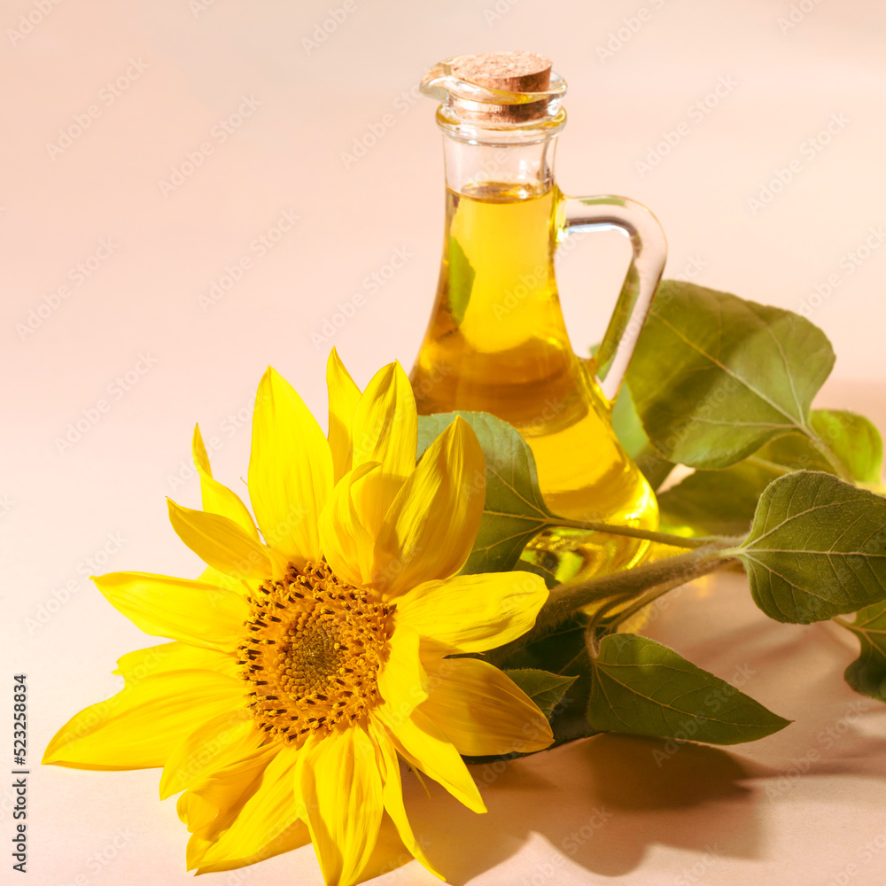 Bottle of sunflower oil and sunflower flowers on a beige background.Space for text Bottle of sunflower oil and sunflower flowers on a beige background.Space for text