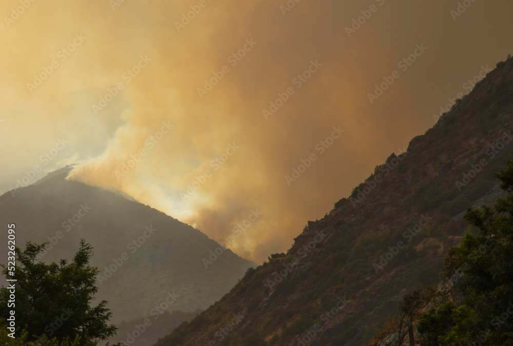 forest fire on a mountain