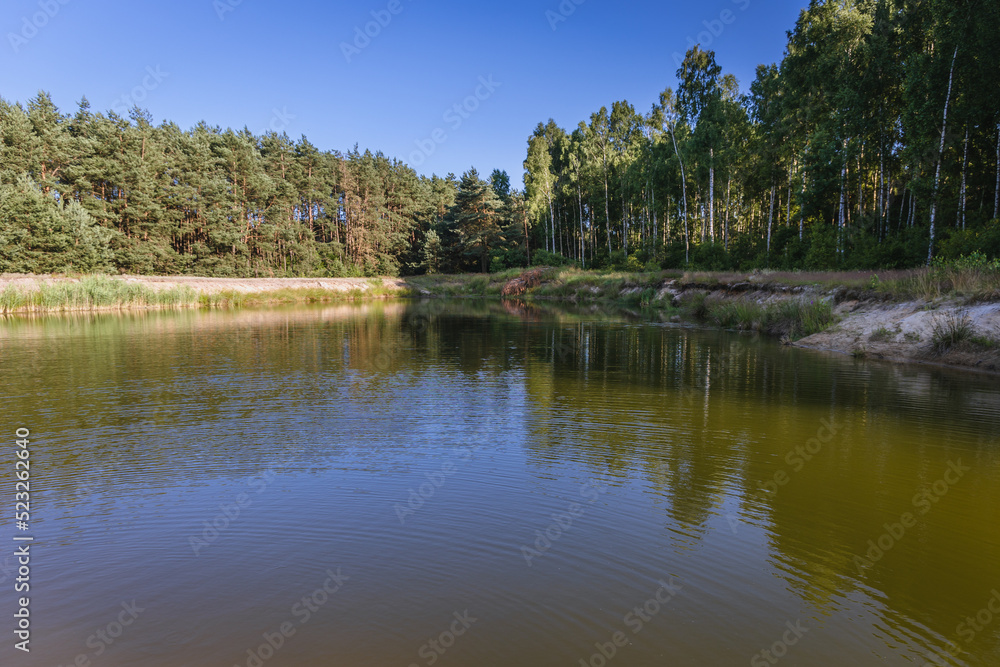 Pond in Wegrow County in Mazowsze region of Poland