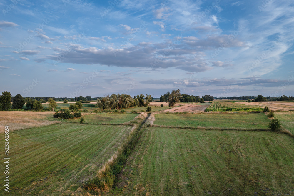 Aerial drone photo of fields in Mazowsze region of Poland