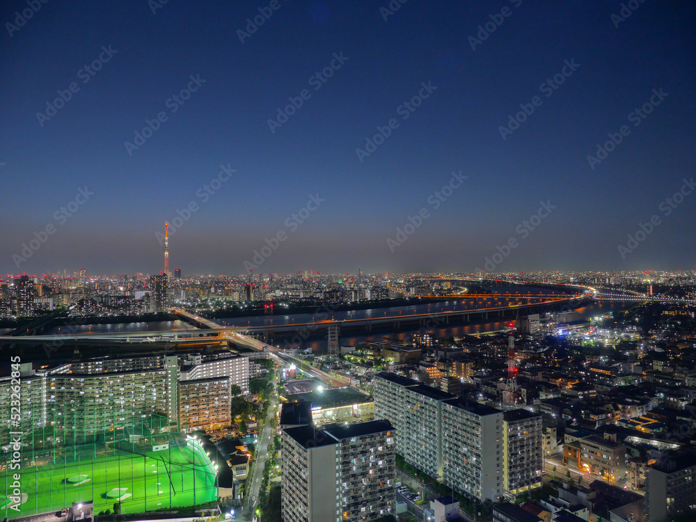 Fototapeta premium タワーホール船堀の展望台からの荒川と東京都心の夜景の