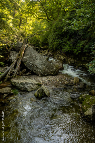 Enloe Creek Flows Around Large Boulders and Downed Trees