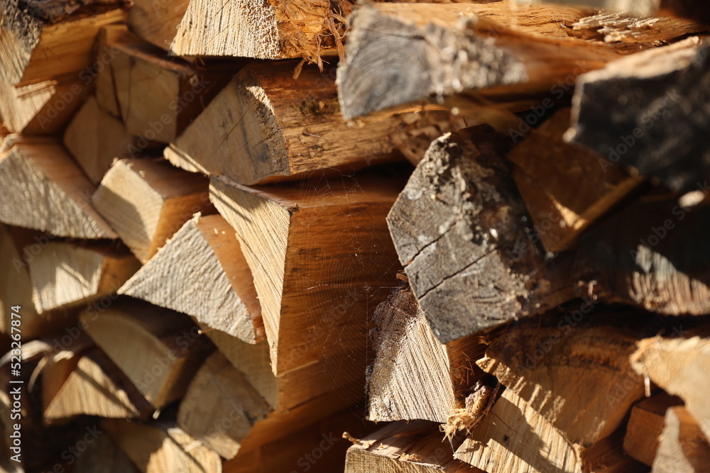 Stack of wooden logs prepared by farmers to overcome european energy crisis. Dried firewood in pile. Stack of wooden logs prepared by farmers to overcome european energy crisis. Dried firewood in pile.