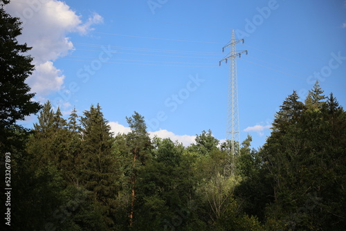 Power line with blue sky and green forest