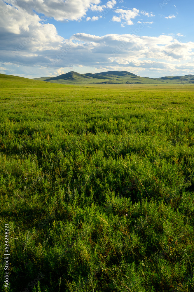 Mongolian Summer Landscape. Wild Nature With Blue Sky.
