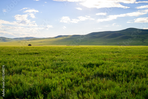 Mongolian Summer Landscape. Wild Nature With Blue Sky.