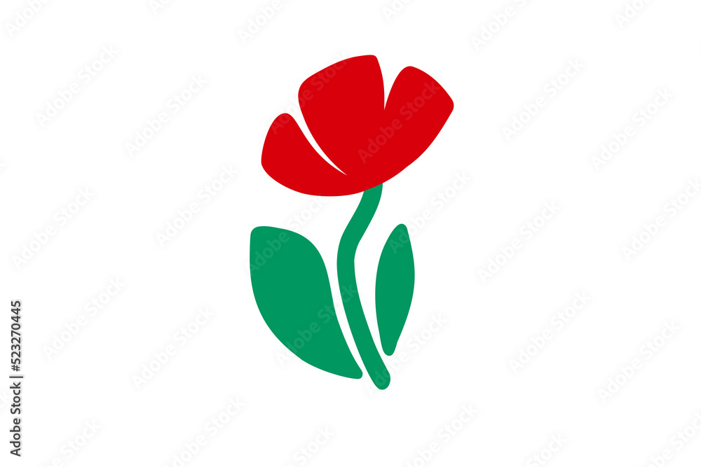 Red tulip flower Red tulip flower