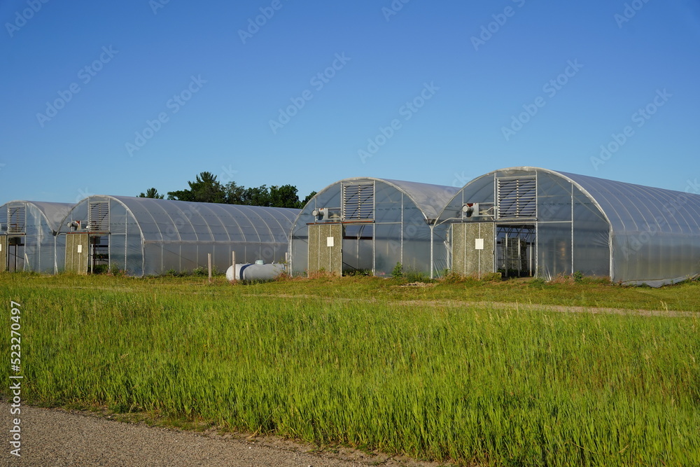 Long greenhouses are being prepared to be used. Long greenhouses are being prepared to be used.