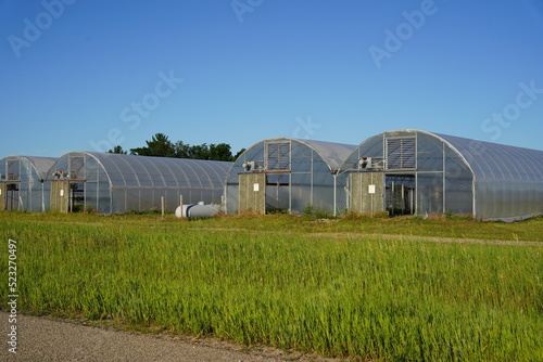  Long greenhouses are being prepared to be used.