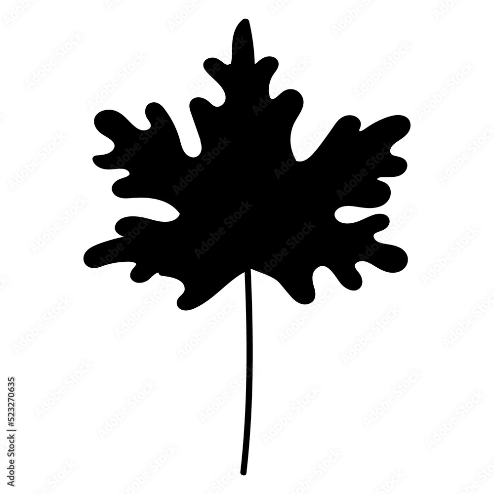 leaf isolated leaf isolated