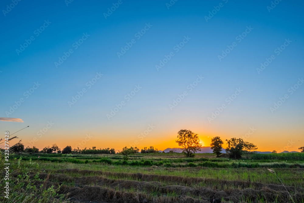 Obraz premium morning sun and green meadow